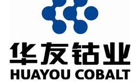 China’s Zhejiang Huayou Cobalt plots lithium carbonate plant in Zim ...